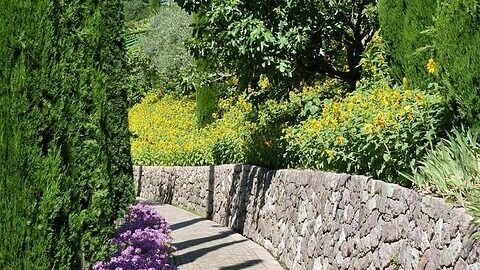 path, garden, nature, south-tirol, park, tree of life bushes