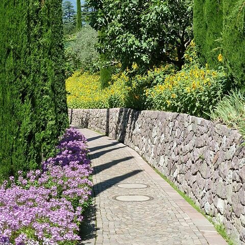 path, garden, nature, south-tirol, park, tree of life bushes