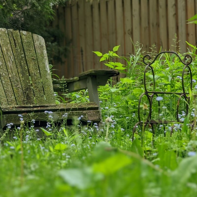 Serene garden scene featuring a rustic wooden armchair surrounded by lush greenery and wildflowers.