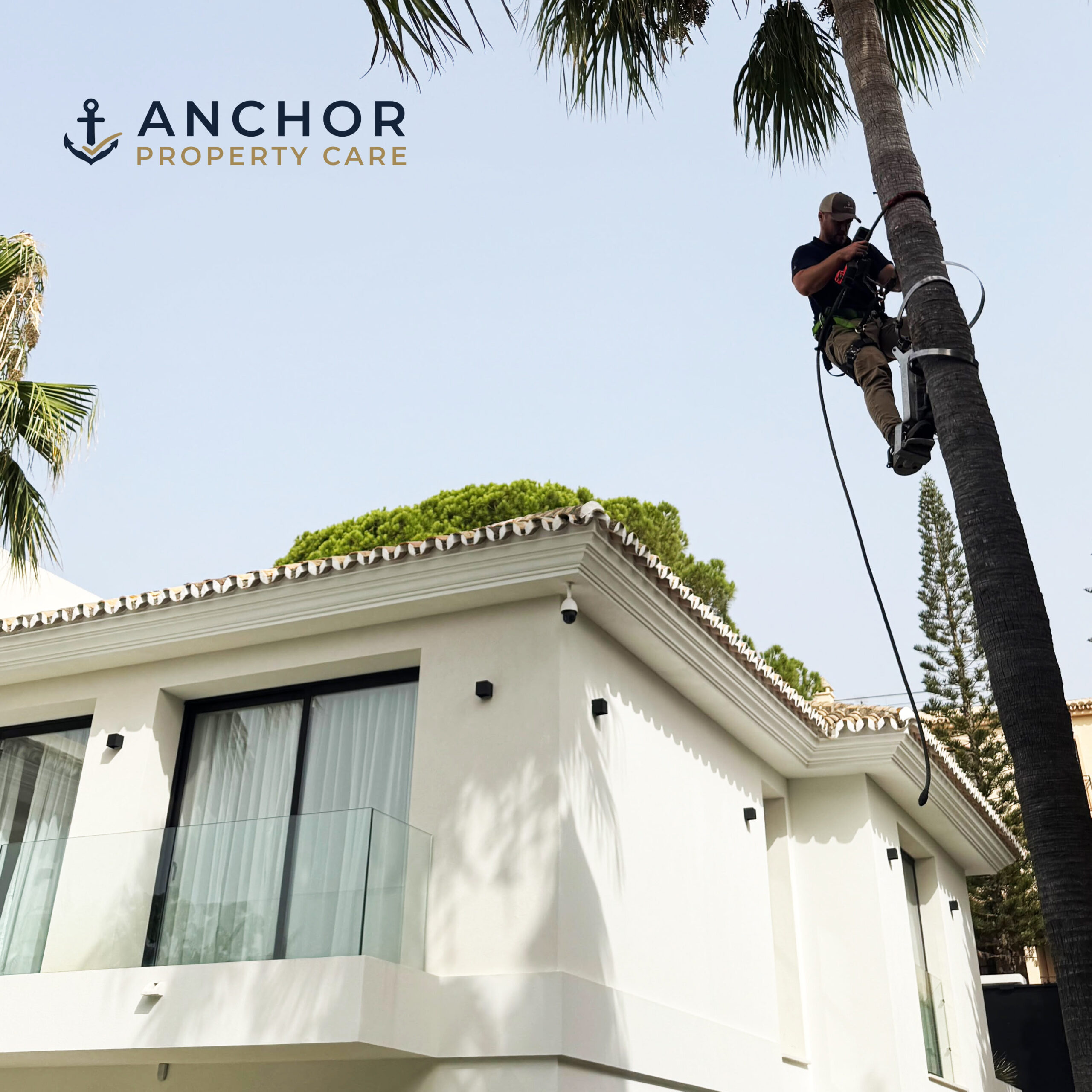 anchor property care marbella doing palm tree maintenance